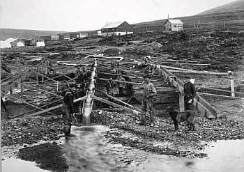 thistle creek dredge
